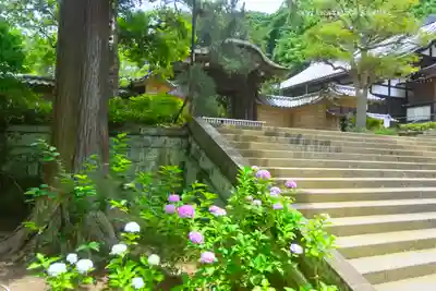 円覚寺(神奈川県)