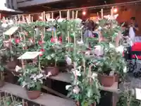 真源寺(入谷鬼子母神)の自然