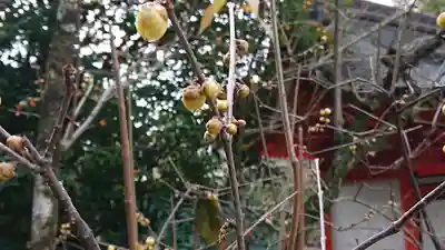 北野天満宮(京都府)