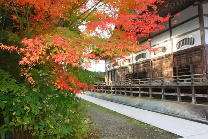 中尊寺金色堂(岩手県)