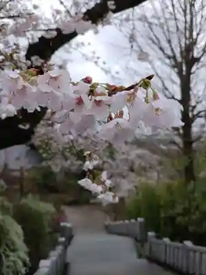 達磨寺(群馬県)