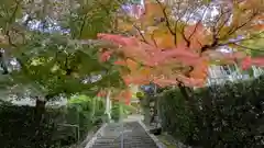 安養寺(京都府)