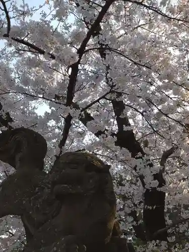 鷲宮神社の狛犬