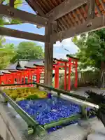 住吉神社の手水舎