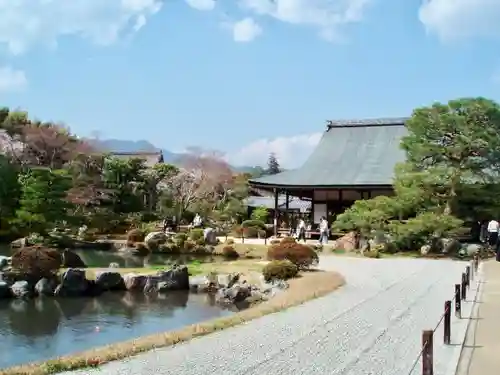 天龍寺の庭園