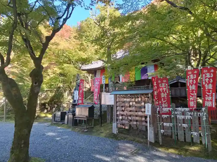 今熊野観音寺(京都府)