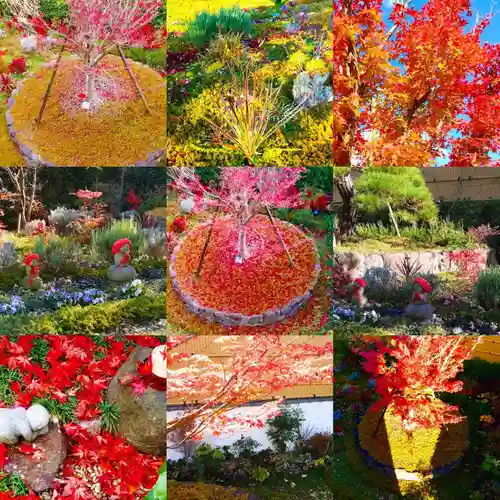 寿量山　速成寺(奈良県)