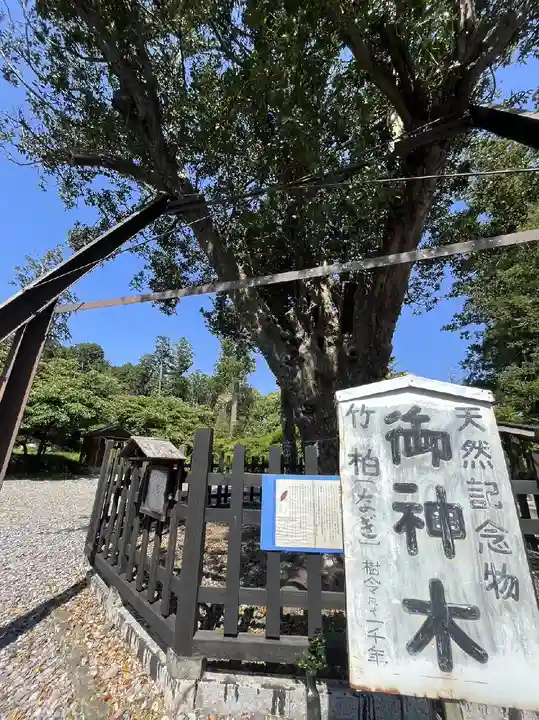 天宮神社の自然