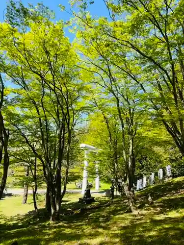 土津神社｜こどもと出世の神さまの景色