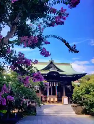 桜神宮(東京都)