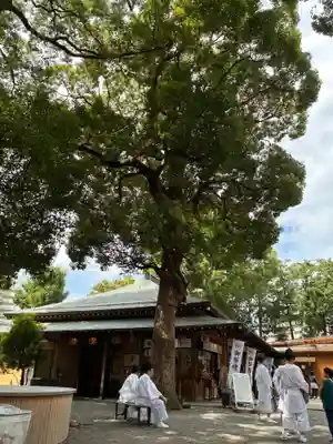 星川杉山神社(神奈川県)