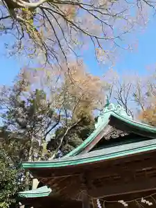 酒門神社の本殿・本堂(2020年11月23日(月) 14時22分09秒投稿)