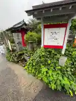 常福寺(椿堂)(愛媛県)
