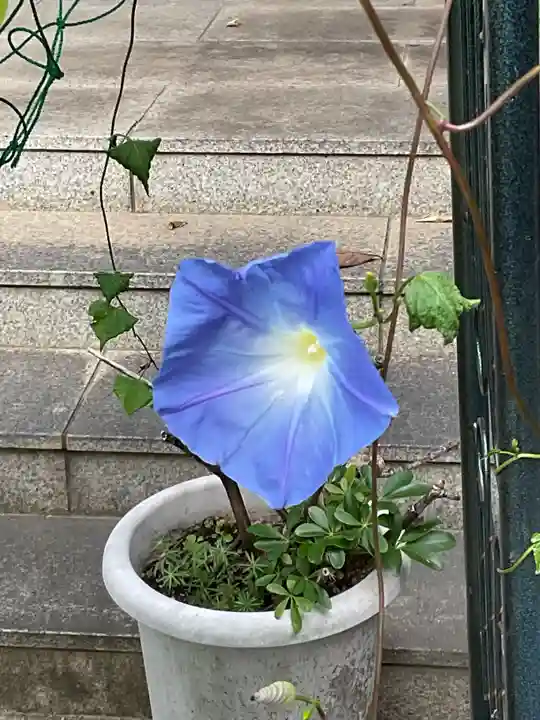 乾窓院(京都府)