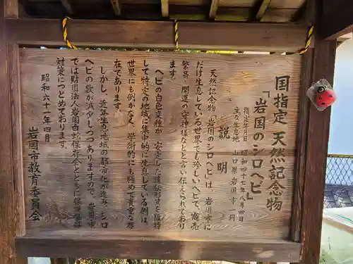 岩国白蛇神社の歴史