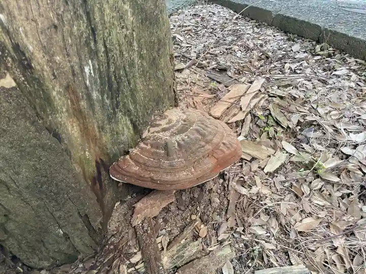 三島神社(愛媛県)