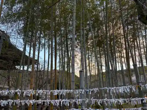 修禅寺の{uncategorized: "未分類", other: "その他", undefined: "問題あり", building: "その他建物", grave: "お墓", sacred_gate: "鳥居", guardian: "狛犬", statue: "像", buddha: "仏像", history: "歴史", nature: "自然", garden: "庭園", animal: "動物", pagoda: "塔", temizu: "手水舎", mountain_gate: "山門・神門", sanctuary: "本殿・本堂", subordinate: "末社・摂社", art: "芸術", scenery: "景色", jizo: "地蔵", ema: "絵馬", goshuin: "御朱印", omikuji: "おみくじ", items: "授与品その他", amulet: "お守り", goshuincho: "御朱印帳", eats: "食事", festival: "お祭り", votive_dance: "神楽", shichigosan: "七五三参", wedding: "結婚式", experience: "体験その他", initially: "初詣", around: "周辺", anti_infection: "感染症対策"}