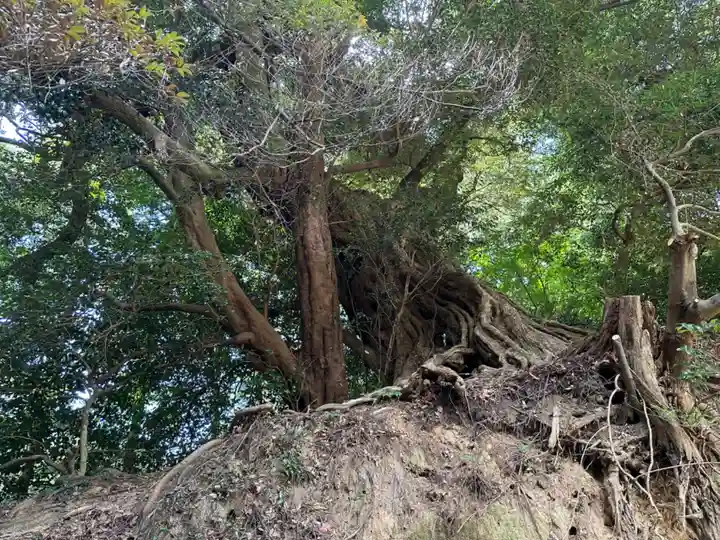 雷神社(福岡県)