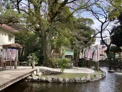 平塚八幡宮(神奈川県)