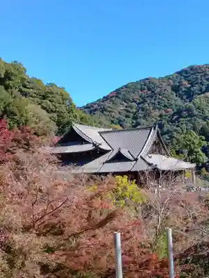 長谷寺(奈良県)