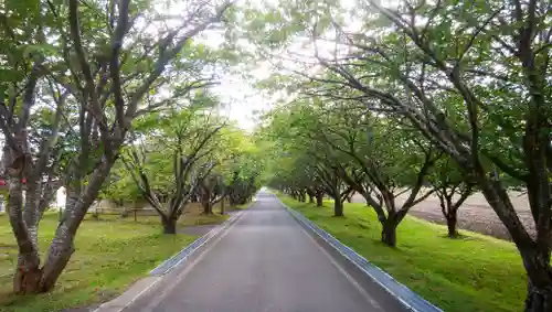 石崎地主海神社の周辺