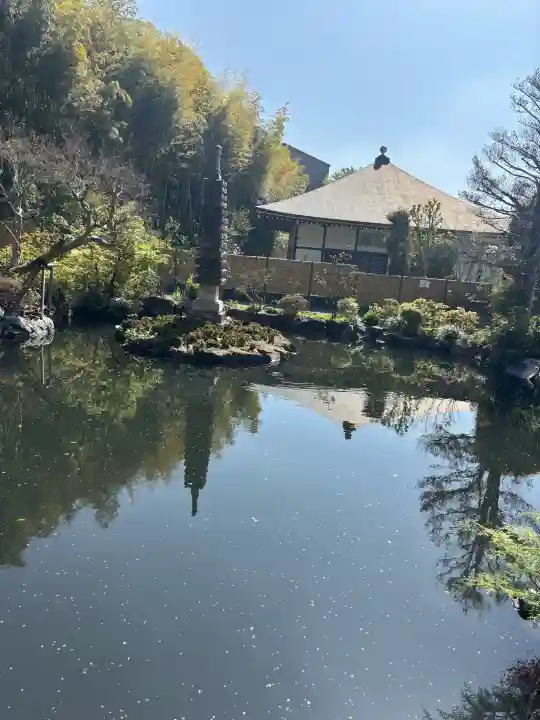 貫井神社の{uncategorized: "未分類", other: "その他", undefined: "問題あり", building: "その他建物", grave: "お墓", sacred_gate: "鳥居", guardian: "狛犬", statue: "像", buddha: "仏像", history: "歴史", nature: "自然", garden: "庭園", animal: "動物", pagoda: "塔", temizu: "手水舎", mountain_gate: "山門・神門", sanctuary: "本殿・本堂", subordinate: "末社・摂社", art: "芸術", scenery: "景色", jizo: "地蔵", ema: "絵馬", goshuin: "御朱印", omikuji: "おみくじ", items: "授与品その他", amulet: "お守り", goshuincho: "御朱印帳", eats: "食事", festival: "お祭り", votive_dance: "神楽", shichigosan: "七五三参", wedding: "結婚式", experience: "体験その他", initially: "初詣", around: "周辺", anti_infection: "感染症対策"}