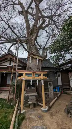 齋宮神社(京都府)