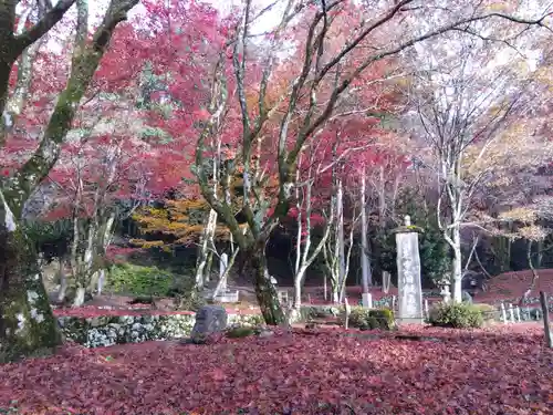 鶏足寺(滋賀県)