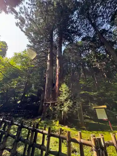 御岩神社(茨城県)
