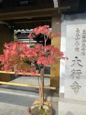 大行寺(京都府)