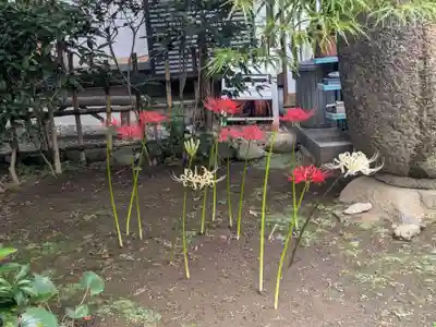 谷中 妙福寺(東京都)