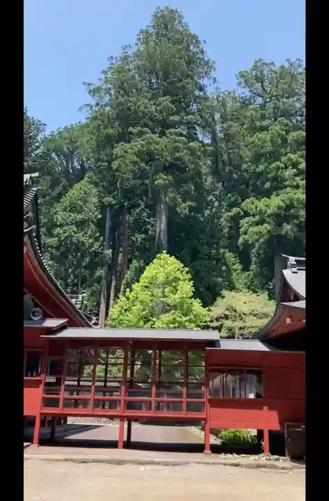 日光二荒山神社の{uncategorized: "未分類", other: "その他", undefined: "問題あり", building: "その他建物", grave: "お墓", sacred_gate: "鳥居", guardian: "狛犬", statue: "像", buddha: "仏像", history: "歴史", nature: "自然", garden: "庭園", animal: "動物", pagoda: "塔", temizu: "手水舎", mountain_gate: "山門・神門", sanctuary: "本殿・本堂", subordinate: "末社・摂社", art: "芸術", scenery: "景色", jizo: "地蔵", ema: "絵馬", goshuin: "御朱印", omikuji: "おみくじ", items: "授与品その他", amulet: "お守り", goshuincho: "御朱印帳", eats: "食事", festival: "お祭り", votive_dance: "神楽", shichigosan: "七五三参", wedding: "結婚式", experience: "体験その他", initially: "初詣", around: "周辺", anti_infection: "感染症対策"}