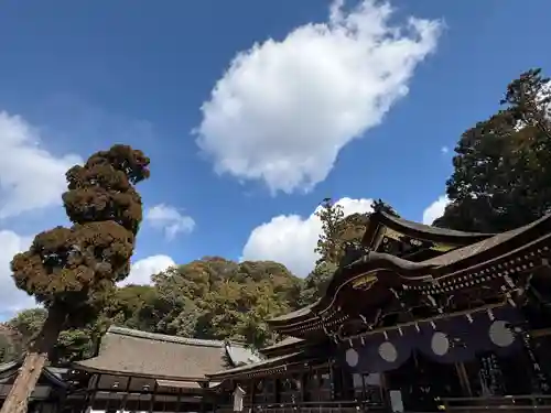 大神神社(奈良県)