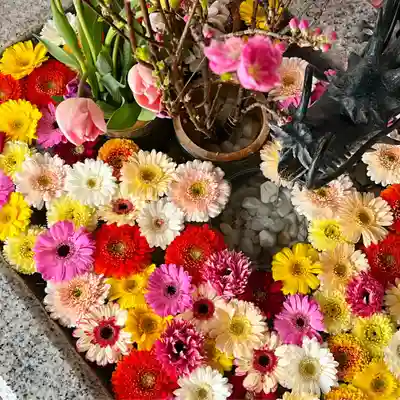 札幌諏訪神社の手水舎