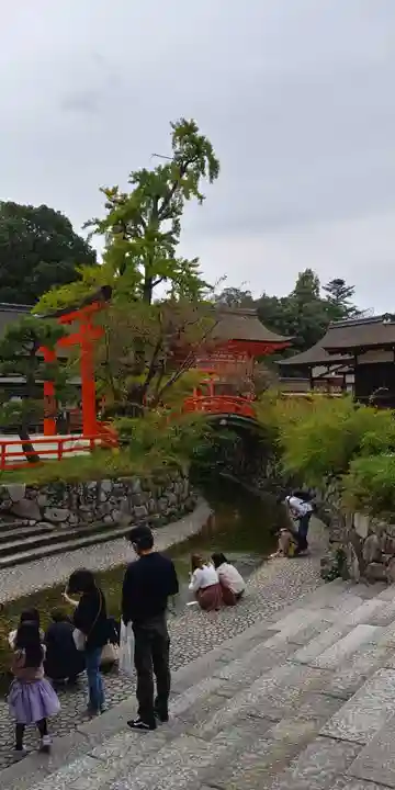 賀茂御祖神社(下鴨神社)の景色