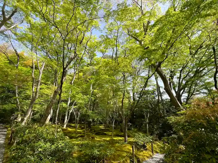祇王寺(京都府)