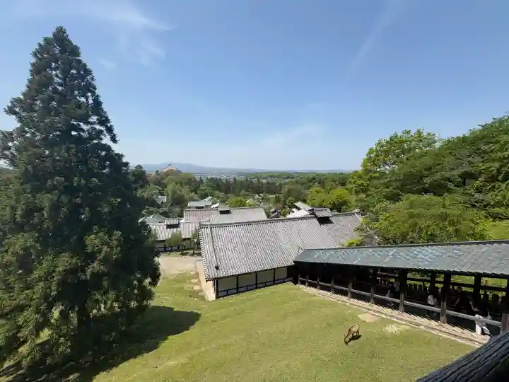 東大寺 二月堂の{uncategorized: "未分類", other: "その他", undefined: "問題あり", building: "その他建物", grave: "お墓", sacred_gate: "鳥居", guardian: "狛犬", statue: "像", buddha: "仏像", history: "歴史", nature: "自然", garden: "庭園", animal: "動物", pagoda: "塔", temizu: "手水舎", mountain_gate: "山門・神門", sanctuary: "本殿・本堂", subordinate: "末社・摂社", art: "芸術", scenery: "景色", jizo: "地蔵", ema: "絵馬", goshuin: "御朱印", omikuji: "おみくじ", items: "授与品その他", amulet: "お守り", goshuincho: "御朱印帳", eats: "食事", festival: "お祭り", votive_dance: "神楽", shichigosan: "七五三参", wedding: "結婚式", experience: "体験その他", initially: "初詣", around: "周辺", anti_infection: "感染症対策"}