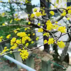 豊景神社の自然