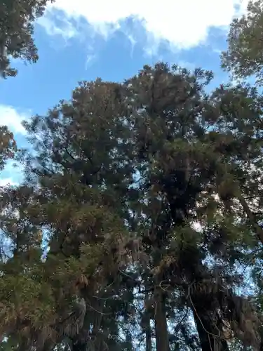 大宮温泉神社(栃木県)