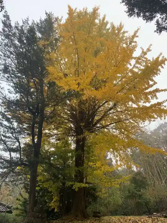 諏訪神社(千葉県)