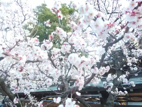 湯島天満宮の庭園