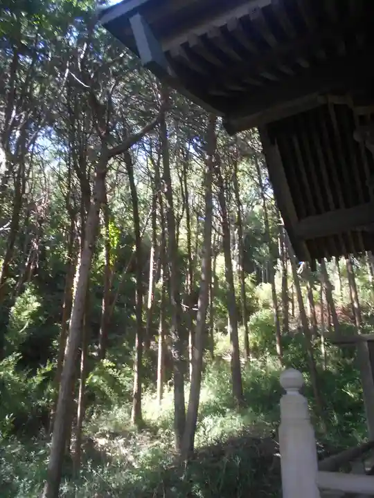 梶原御霊神社の自然