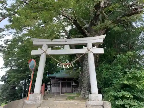 八坂神社の鳥居