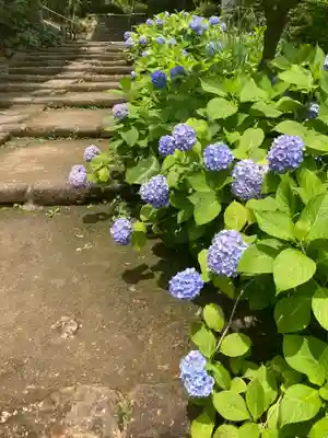天源院(神奈川県)