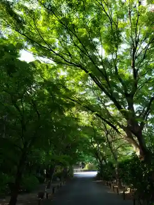 高円寺(東京都)