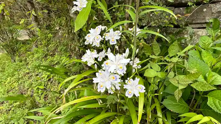 法雲寺(埼玉県)