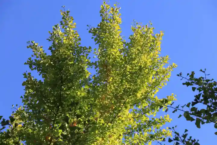 阿邪訶根神社の自然