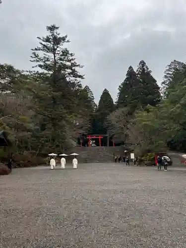 霧島神宮(鹿児島県)