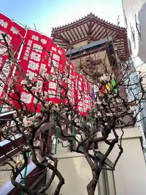 薬研堀不動院(川崎大師東京別院)(東京都)