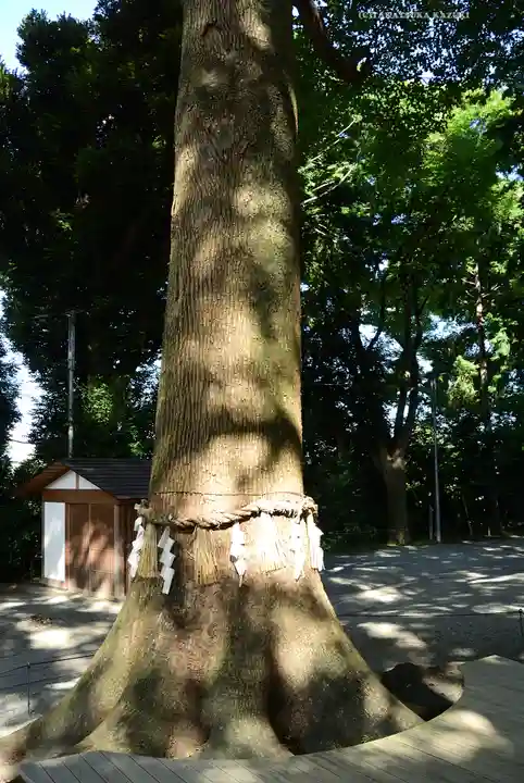 星川杉山神社(神奈川県)